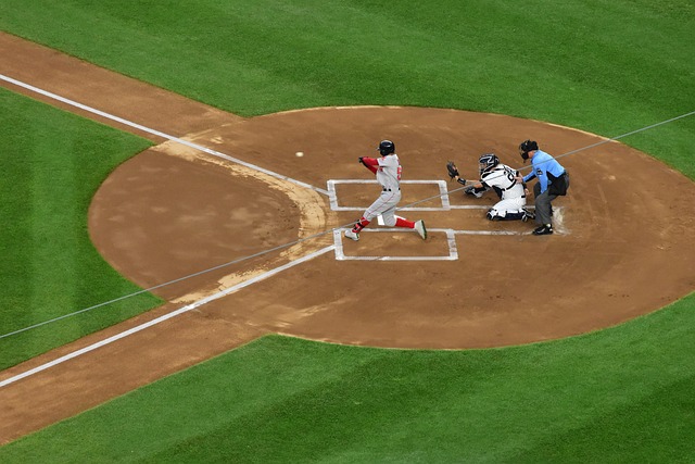 赛季的焦点 赛季的焦点